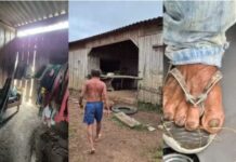 Idoso é resgatado de trabalho escravo após quase oito anos em fazenda no Pará
