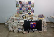 Polícia apreende 774 tabletes de skunk escondidos em casa nos fundos de galpão em Manaus